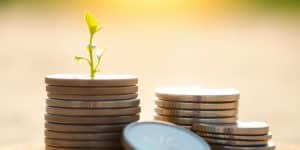 Coins stack, growing plant, bright sunlight.